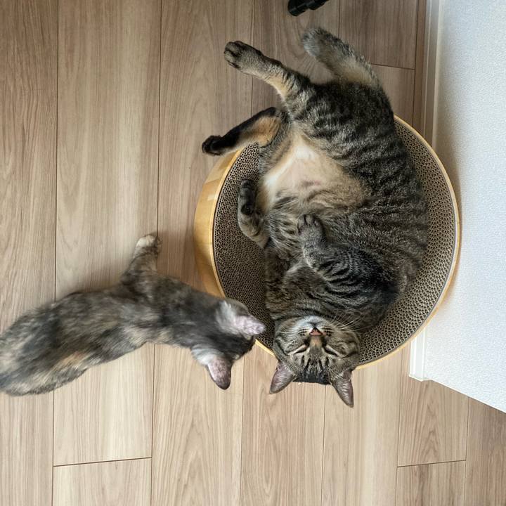 5430f910 25de 4cb6 aef7 1b1b8ea273d2 1695979594968