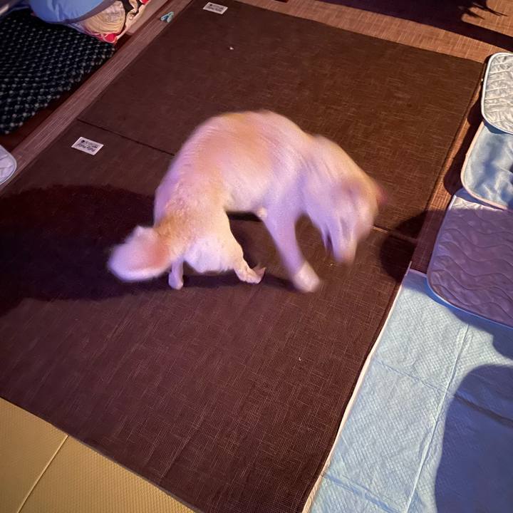 543143bd 0d66 4146 b4eb ebc25ec2bead 1659288551151