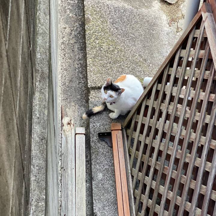 543145e4 a1a6 4597 9d4a ef856b45233b 1635663810489