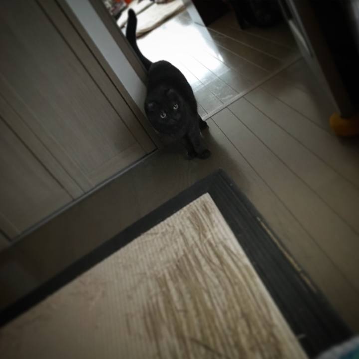 543152e8 0ec1 48ab 80b4 f71657abc9f7 1517450823547