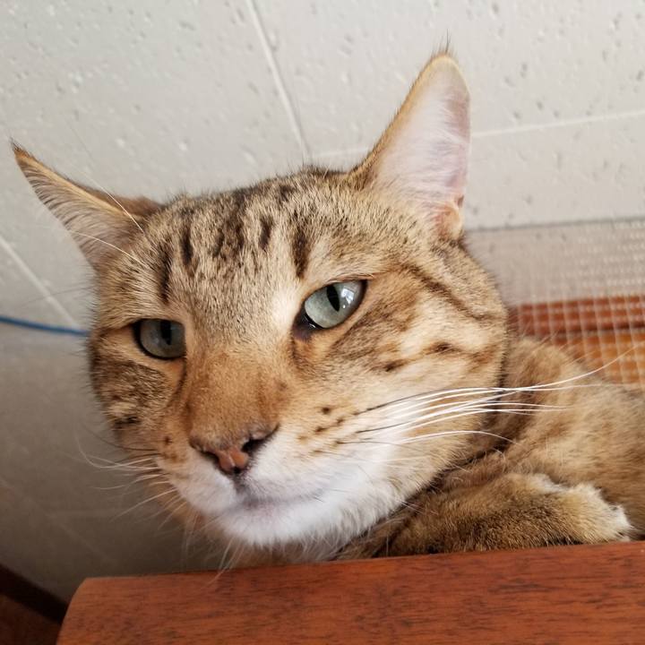 5431794a 5734 4efb 91a3 9fe6265adeb6 1679234576144