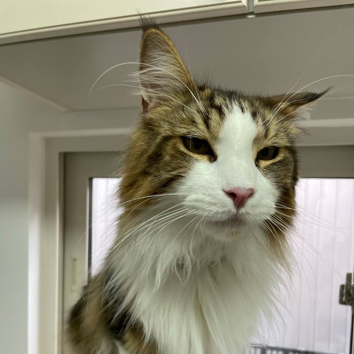 54318f28 080a 4b62 bda7 ed63827aecfd 1658005953246