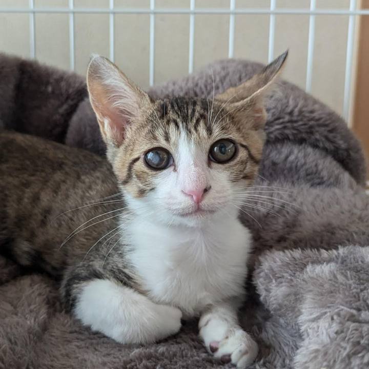 54319e56 6376 4040 8a80 2553fd20c95f 1729842780806