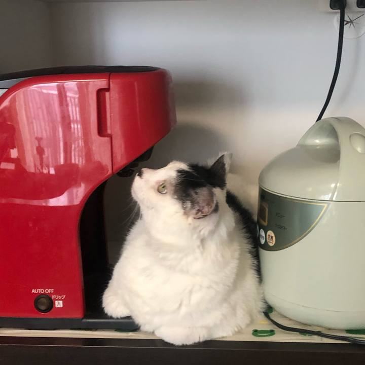 5431b324 55bc 475d ab2d 34c027eafa8e 1589844665452