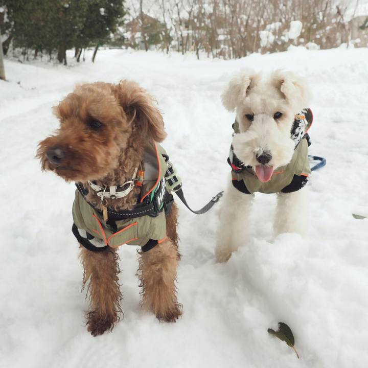 5431d740 8fde 4718 ab33 b3cd9bece553 1517216591696