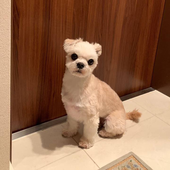 5431db0f 3f3e 4754 981a 68c008c7cd0c 1572001926273