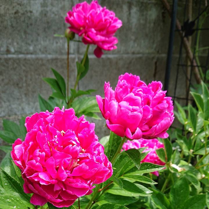 5431e0de ceaa 4ddc b080 5258955d9953 1651984690174