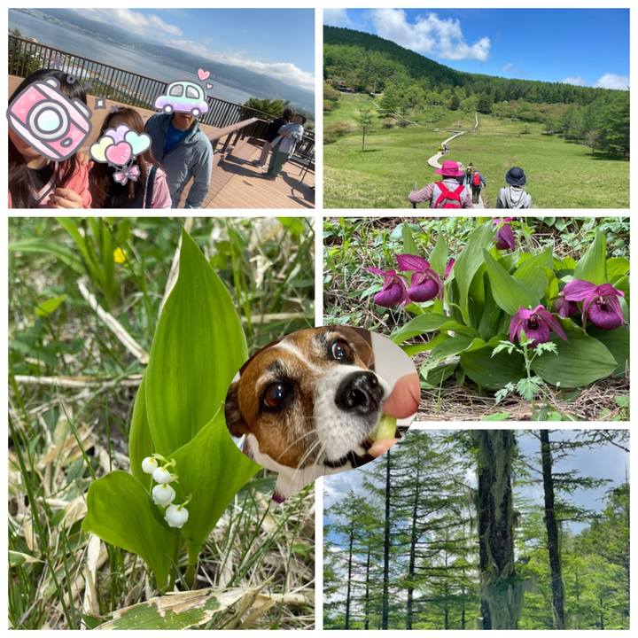 5431fd2f cf14 4de6 bfb1 cea9297e3f94 1748492476994