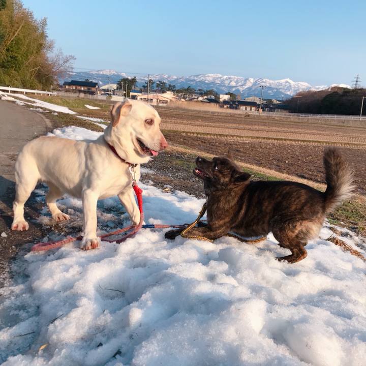 54320999 ba7a 41be bb98 ac948a0ea075 1519620488760