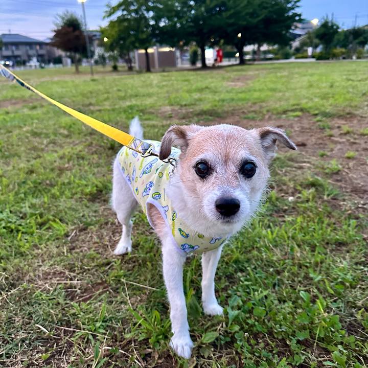 543213b3 7706 417e 85a4 0b6e4e2df72e 1721472907581