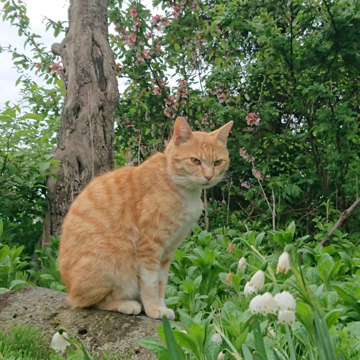 543213e7 bfbb 4e1a ab0f adaa35b27b45 1589090242192