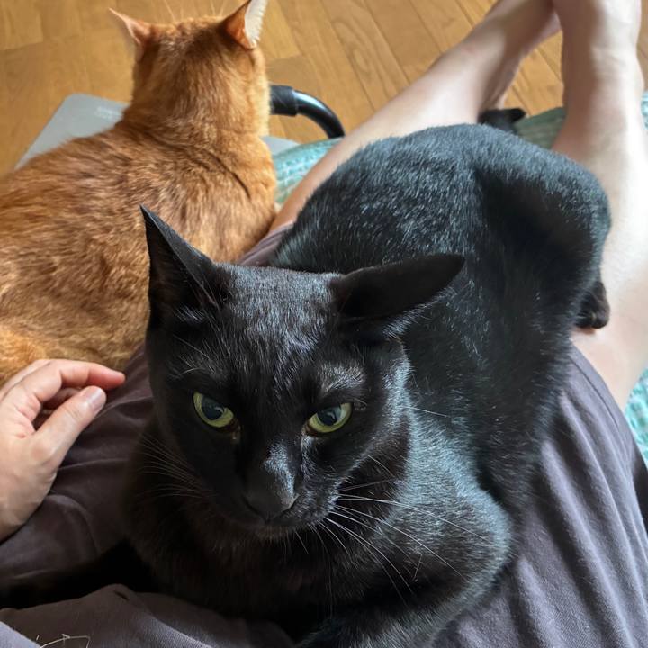 54322223 a21f 4640 9504 aff41f4fda24 1754342419053