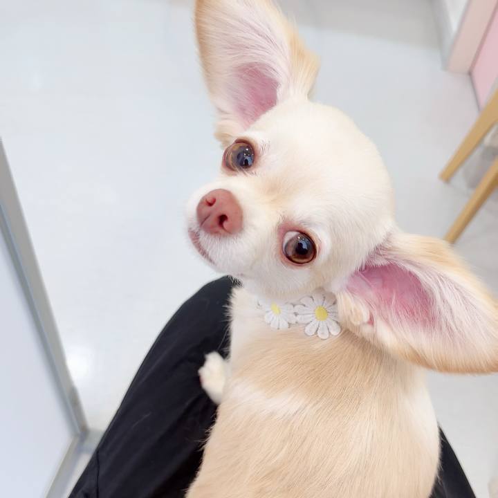 543223ba 47cf 44ab 9a2c 5f332fed04cc 1685152558872