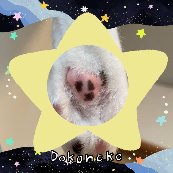 54322f55 abc9 43ed a950 90e38897f5c3 1720830615836