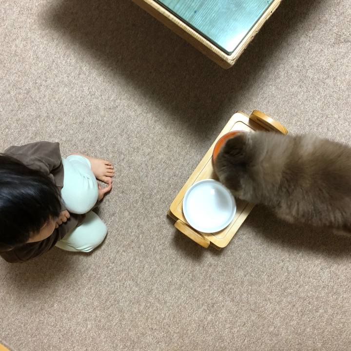 54325fec 35b1 440f bbed 5e5be34d49aa 1638834512012