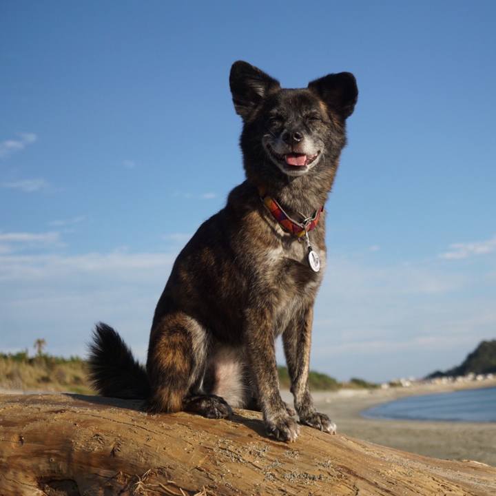 54326dc5 d47b 40a3 a3a0 29df720b8dd7 1601468004210