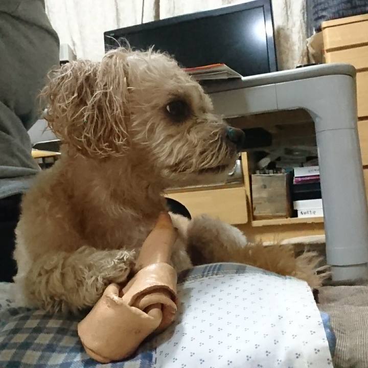 54327784 5102 4061 bf33 887fd93872da 1560585750025