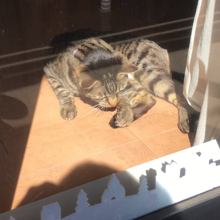 54328224 0f9c 46bf b123 bf4544de66c2 1582441917610