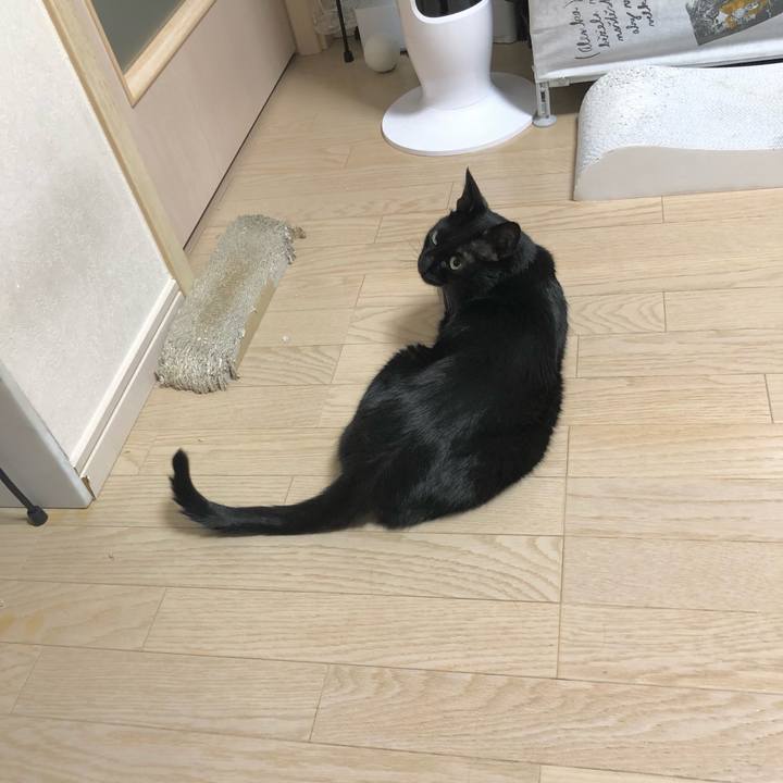 5432a235 f335 467b a60b 150c58987751 1631366759372