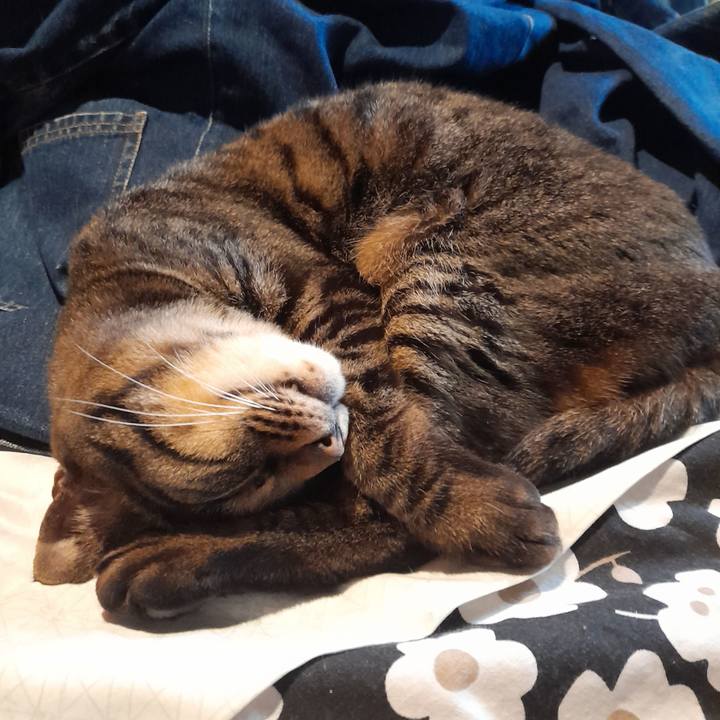 5432c446 53bb 4e18 bd46 8227318a0646 1763687676316