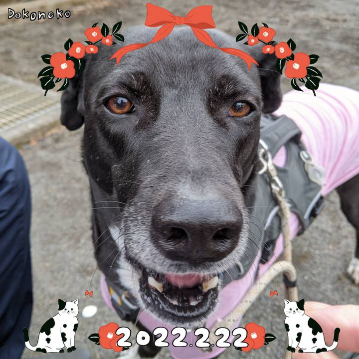 5432d85d ce2d 4dcd a1e2 c4c885b436b4 1645494669954