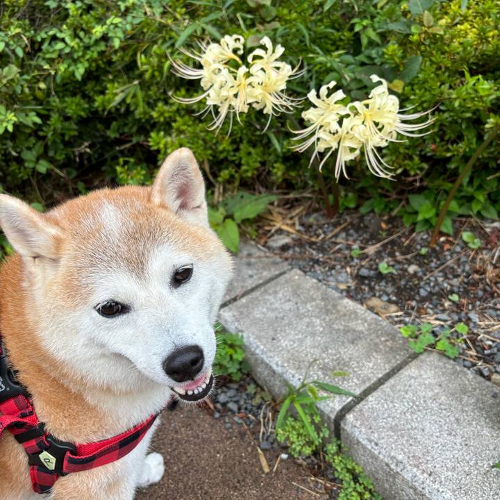 54330f24 5445 4093 85e0 8864b070abca 1728794145644