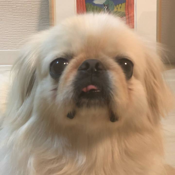 54331a33 9494 46df a6ae 748d5edd8770 1535112833171