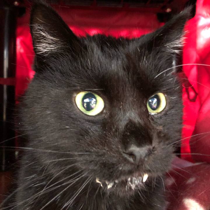 54332348 a918 47e7 9c9d 08214ce99cca 1644538222376