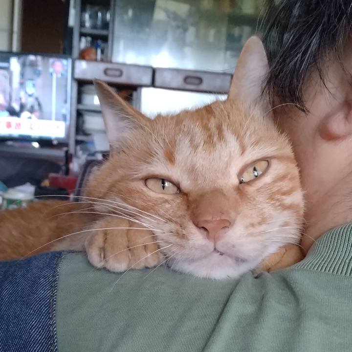 5433515a f8c4 40bf 811a 6a3cd35d593e 1718618345084