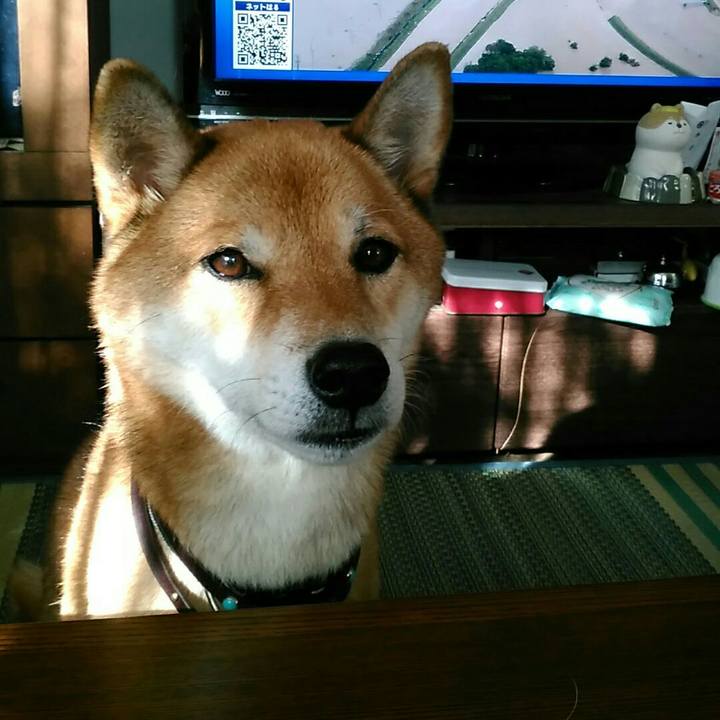 54335166 4bd1 47f5 af75 38f27adfff8e 1570922005456