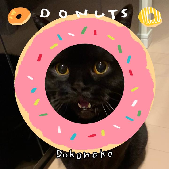 543364fa 0063 4933 8fc9 39576fab0317 1744290201464