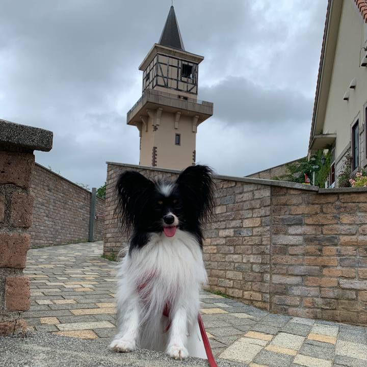 5433683a 268b 46cb ba5c 02eae0d368a2 1561794156051