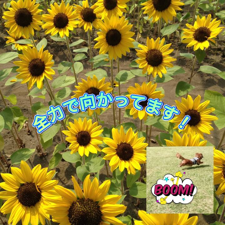 54339327 0ac7 4332 82ee 135bf9609aca 1660366134313