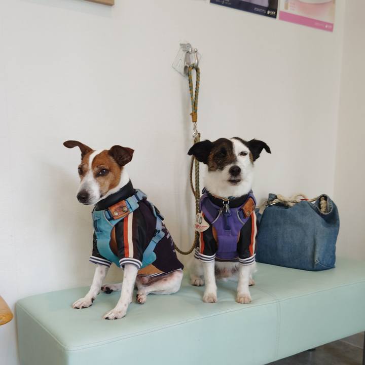 5433ac1f 9c5c 43aa 8e0b 5ebcbd80ceed 1743322442999