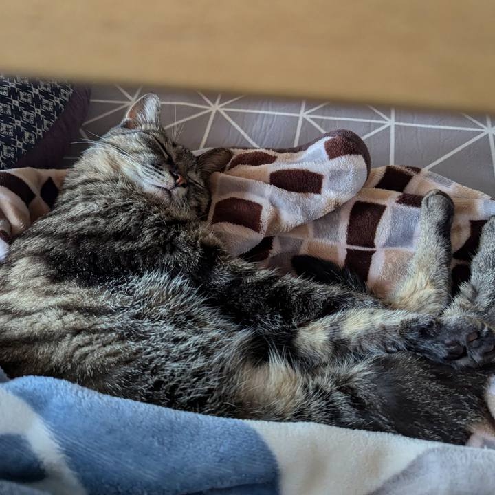 5433d91b 3929 4bea a9ab 472dbae9ec96 1728620961618