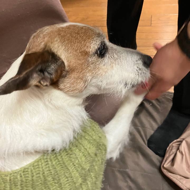 5433da39 0ece 4cf5 8ea5 32b3169e1f8c 1709248839456