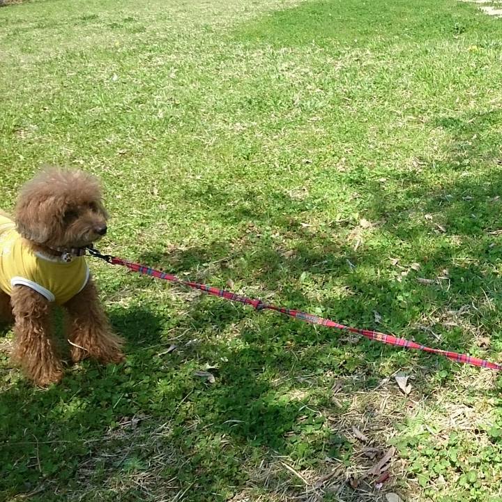 5433dd00 e9b6 4124 ae95 cecf5ee63e2e 1525058257141