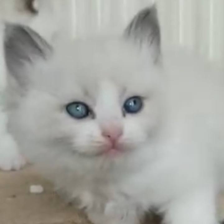 54340115 a7ef 4886 abe7 301e60a27518 1654862696191