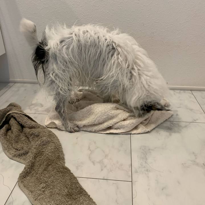 54340ded 39df 45e3 b5fb 6354e1da0236 1676770281280