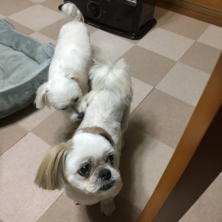 543419c1 c1fd 4932 a235 fa7363e01888 1579787376655