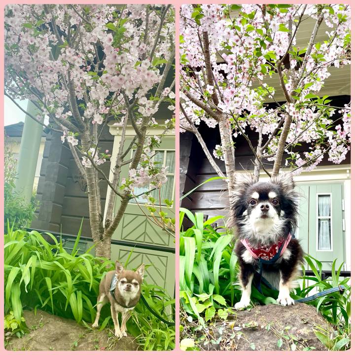 54341cc2 5332 46fc b4ce bbf2b6dcbf42 1744507531299