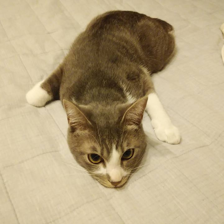 54341fa9 c849 4717 97f8 889a992fe184 1590495080683