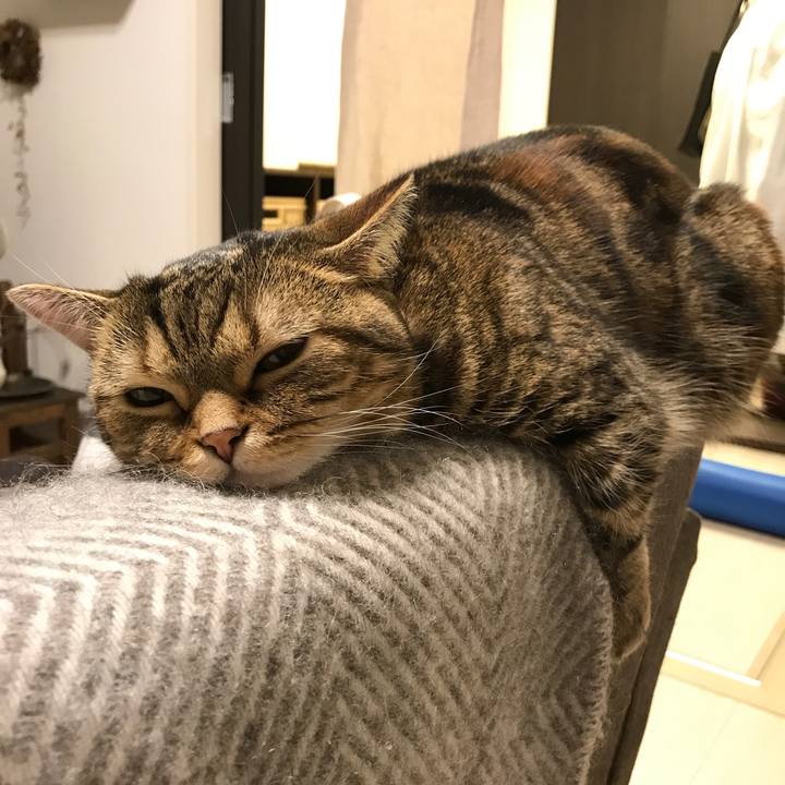 54343e97 1fb4 40f1 8237 7994da290796 1515762848309