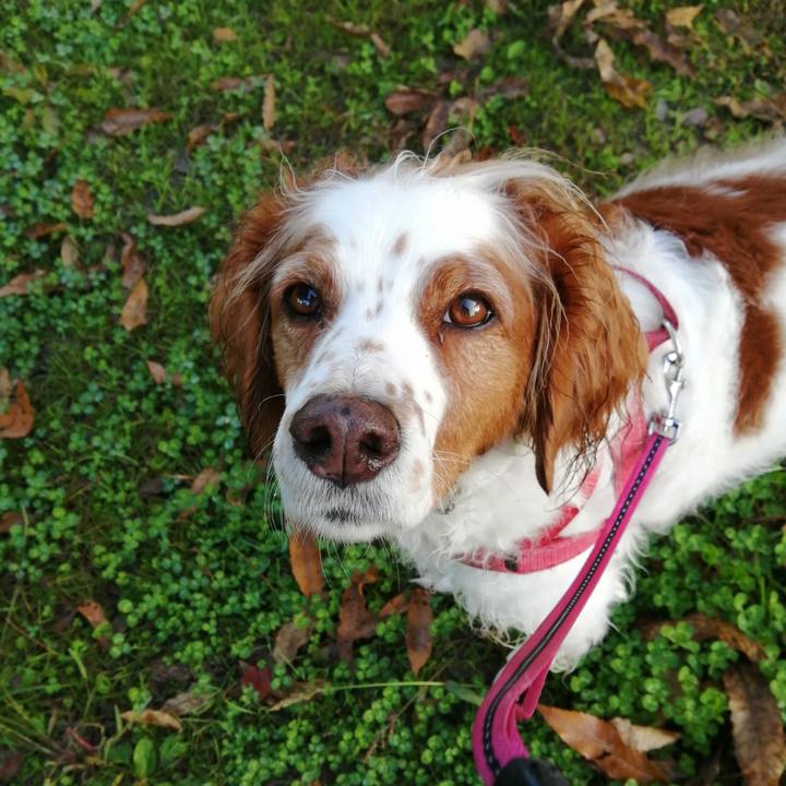 54344afe ab99 49e2 a18a f5b1d6a6c056 1605317479603