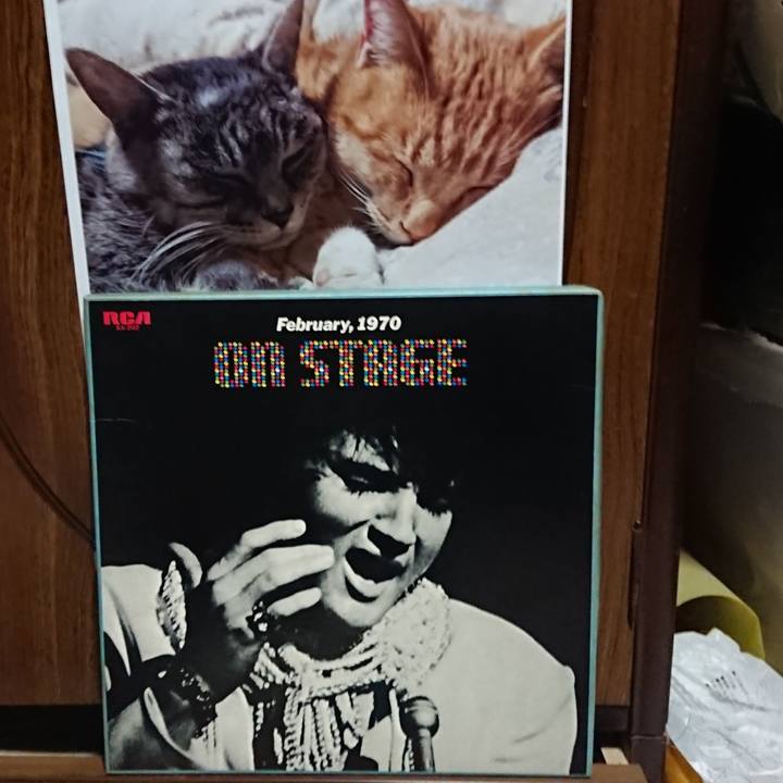 54347739 0c45 4297 b1bd 226c7f6949bc 1603022602365