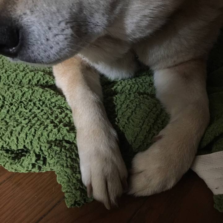 54349106 6192 4224 9ff2 d97b097699cd 1517821791935