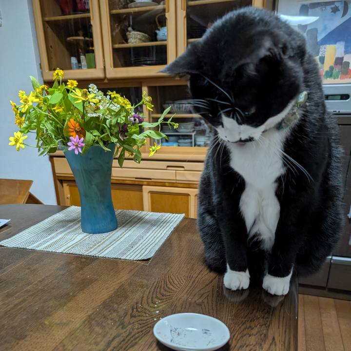 5434aed0 7045 4ee3 803e 3e494298fd93 1762348830757