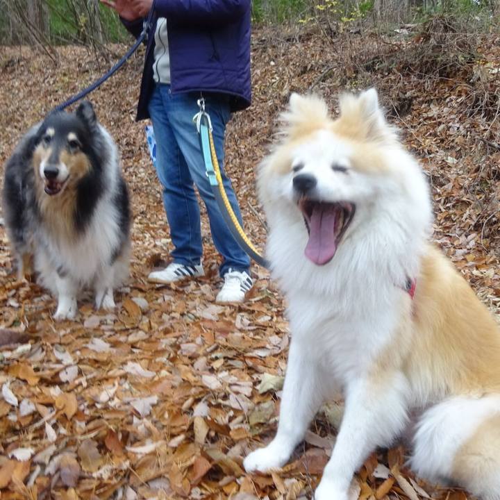 5434fe80 2320 40b6 a39a 9e86249c5eda 1606053370512