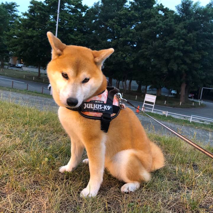 543501fb c942 4dc5 8c2b 77a41887d544 1565349769291