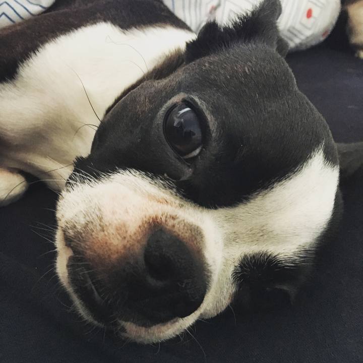 54350457 8c45 4b41 afae cfa70a36f8e2 1535090405632